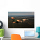 F-16c Aggressor Aircraft Participates Wall Decal