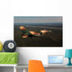 F-16c Aggressor Aircraft Participates Wall Decal