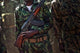 Soldier with Armed Forces Wall Decal