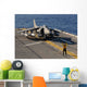 Airman Directs Av-8b Harrier Wall Decal