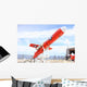 Bqm-74e Chukar Drone Ready Wall Decal
