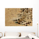 Us Navy Seabees Fire Wall Decal