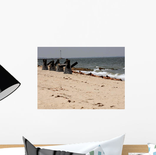 Navy Seals Crawl up Wall Decal