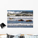 Basic Underwater Demolition Seal Wall Decal Design 3