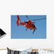 Hh-65c Dolphin Demonstrates Helicopter Wall Decal