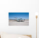 Centennial Naval Aviation Commemorative Wall Decal