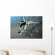 Four Us Navy F Wall Decal