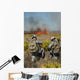 Soldiers Call Information during Wall Decal