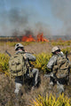 Soldiers Call Information during Wall Decal
