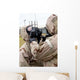 Airman Assists His Wingman Wall Decal