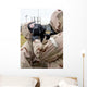 Airman Assists His Wingman Wall Decal