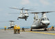 Ch-46e Sea Knight Takes Wall Decal
