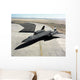 High Angle Sr-71a Blackbird Wall Decal