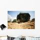 Low Angle Rear Amphibious Wall Decal