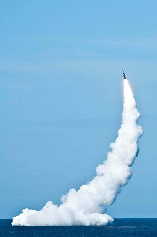 Unarmed Trident Ii D5 Wall Decal