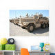 Cougar Hev Mine Resistant Wall Decal