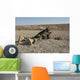 Afghan Commando Engages Training Wall Decal