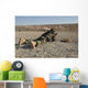 Afghan Commando Engages Training Wall Decal
