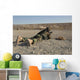 Afghan Commando Engages Training Wall Decal