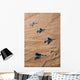 Military Fighter Jets Fly Wall Decal