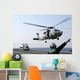 Hh-60h Sea Hawk Helicopter Wall Decal Design 3