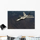 Us Air Force F-22 Wall Decal Design 7