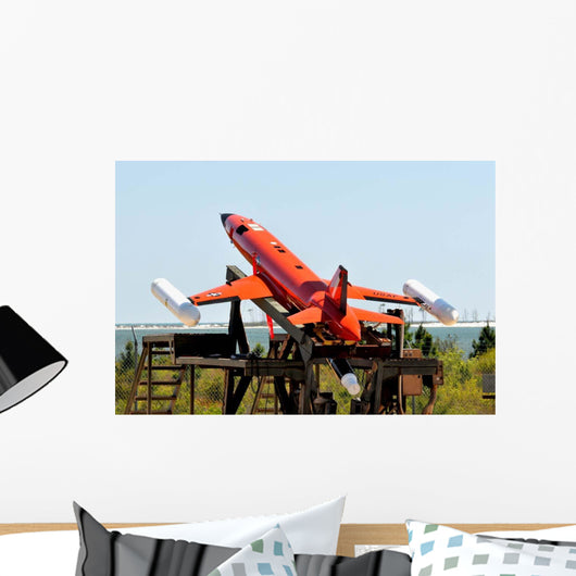 Bqm-167a Subscale Aerial Target Wall Decal