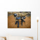 Us Naval Academy Plebes Wall Decal