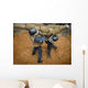 Us Naval Academy Plebes Wall Decal