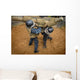 Us Naval Academy Plebes Wall Decal