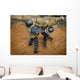 Us Naval Academy Plebes Wall Decal