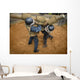 Us Naval Academy Plebes Wall Decal