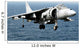 Av-8b Harrier Hovers over Wall Decal