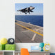 Av-8b Harrier Jet Prepares Wall Decal