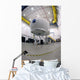 Mh-60r Romeo Wall Decal