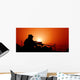 Us Special Forces Soldier Wall Decal