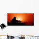Us Special Forces Soldier Wall Decal