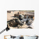 Us Marines Train for Wall Decal