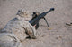 Us Marine Zeros His Wall Decal Design 1