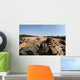 Us Marines Participate Known Wall Decal