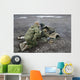 Us Marines Fire M107 Wall Decal