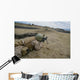 Us Marine Provides Suppressive Wall Decal