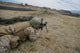 Us Marine Provides Suppressive Wall Decal