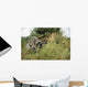 Us Army Soldier and Wall Decal