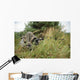 Us Army Soldier and Wall Decal