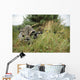 Us Army Soldier and Wall Decal