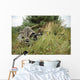 Us Army Soldier and Wall Decal