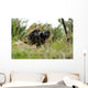 German Bundeswehr Soldier Camouflages Wall Decal
