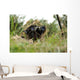 German Bundeswehr Soldier Camouflages Wall Decal