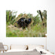 German Bundeswehr Soldier Camouflages Wall Decal